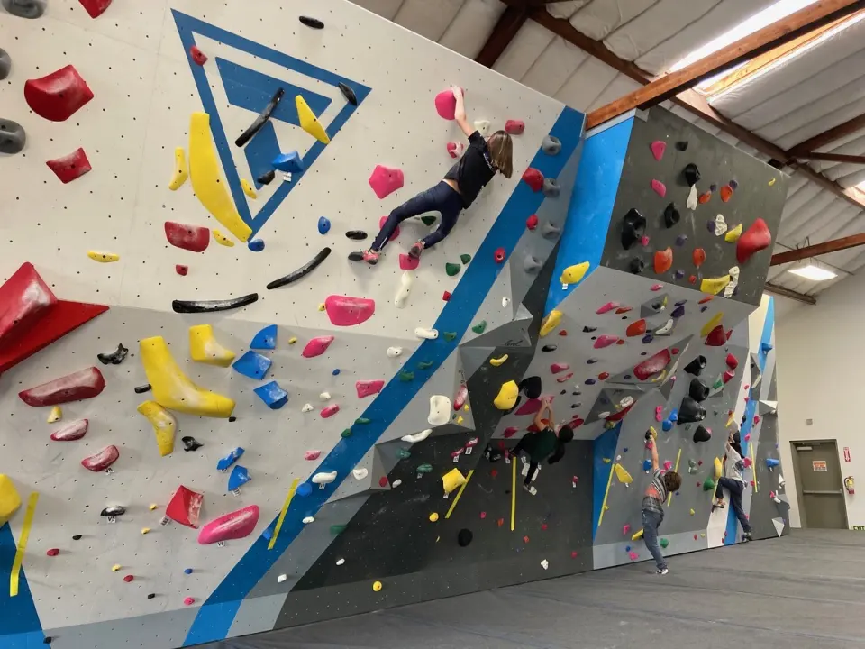 Comp-style bouldering walls in grey, white and blue with climbers on them