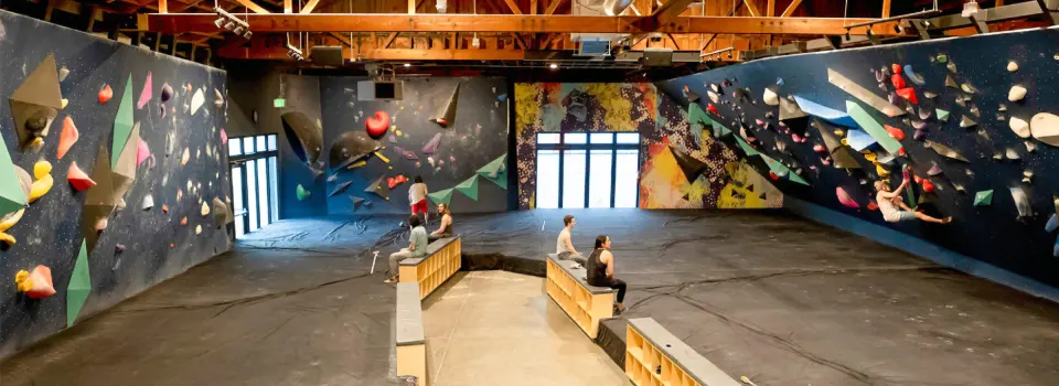 Dark blue bouldering walls on both sides of the room, with benches down the middle and a mural at the end