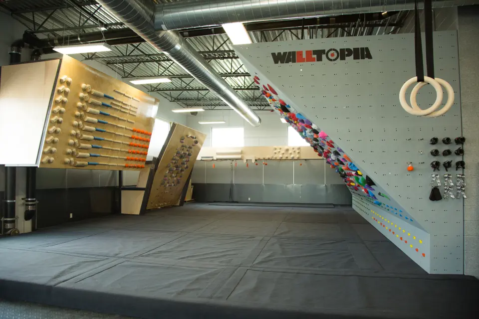 Training room with an angled board, a system wall and gymnastic rings over padded flooring