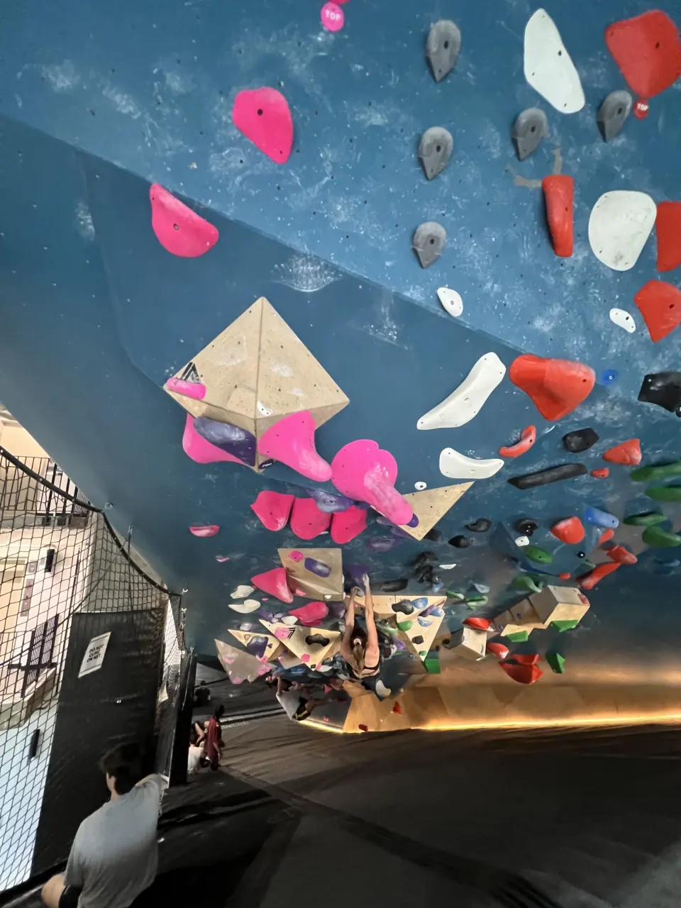 Looking up at a steep blue overhang covered in pink and white holds