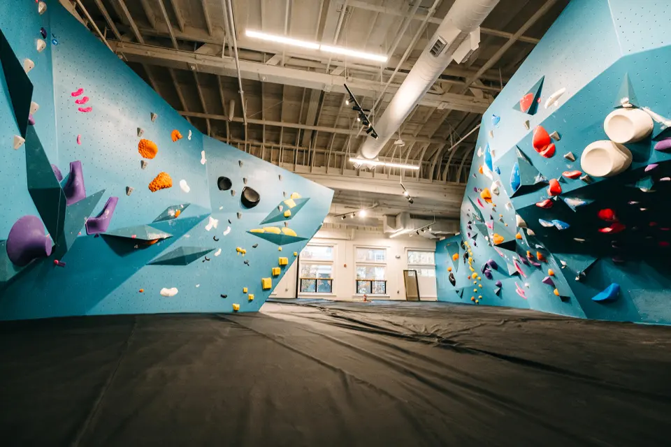 Pale blue bouldering walls with volumes under a white ceiling and tall windows