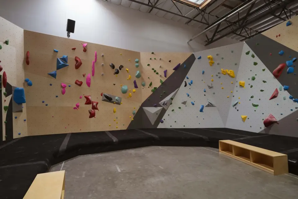 Vertical bouldering wall with pink and blue holds