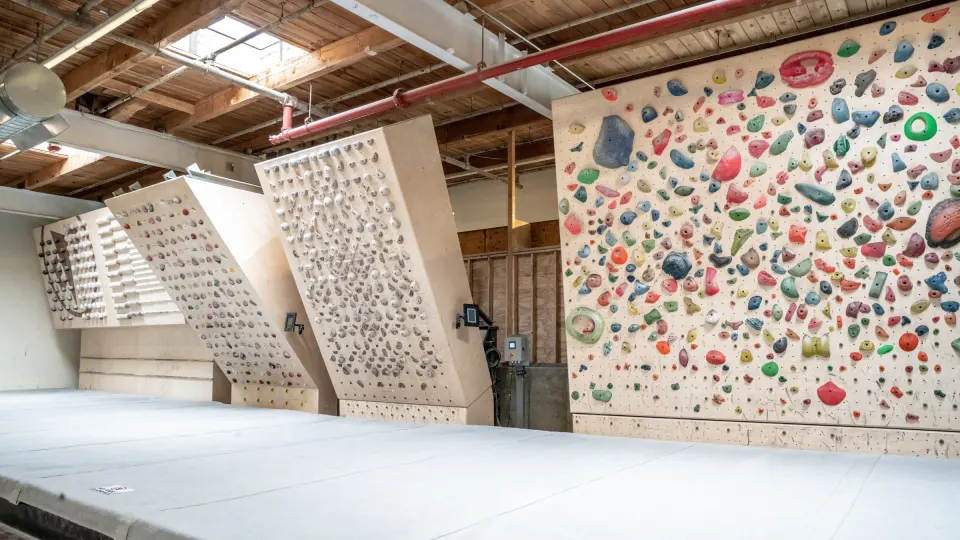 Training area with a campus board, angled system boards and a board wall