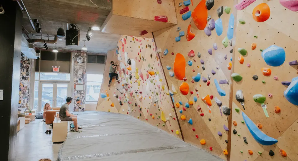 Long plywood bouldering wall covered in colourful holds, with matting and the street windows behind