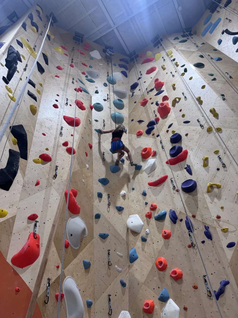 Looking up the roped walls towards the ceiling