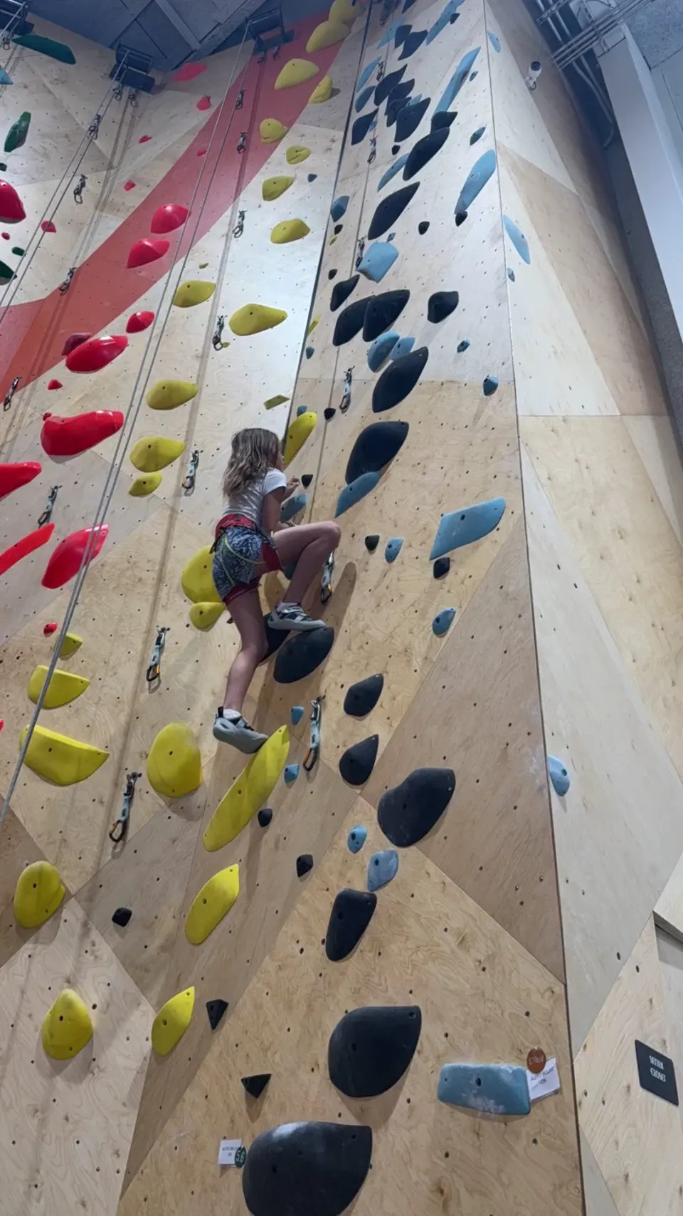 Climber partway up a roped wall with yellow and black holds
