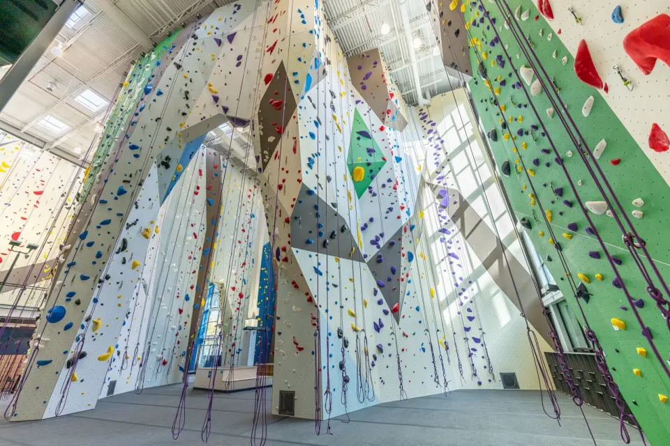Rows of top ropes hanging down the high walls under skylights