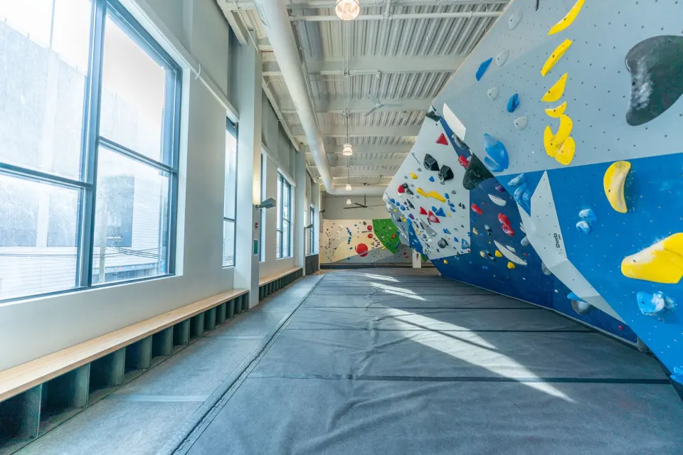 Long bouldering wall with blue panels beside tall windows