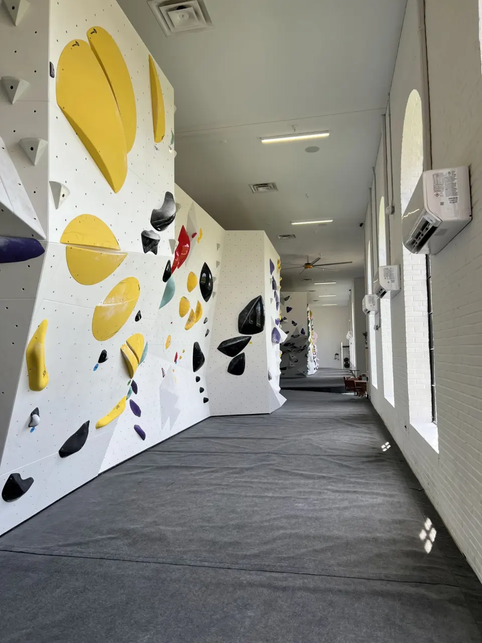 Long bouldering wall with big yellow volumes along the windows