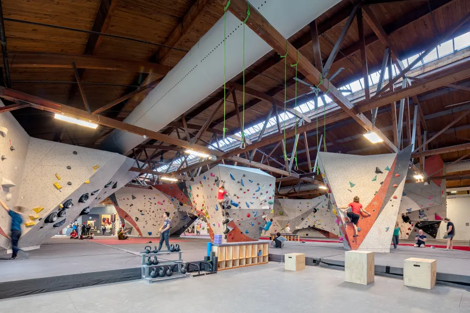 Bouldering hall with angular walls under a timber roof