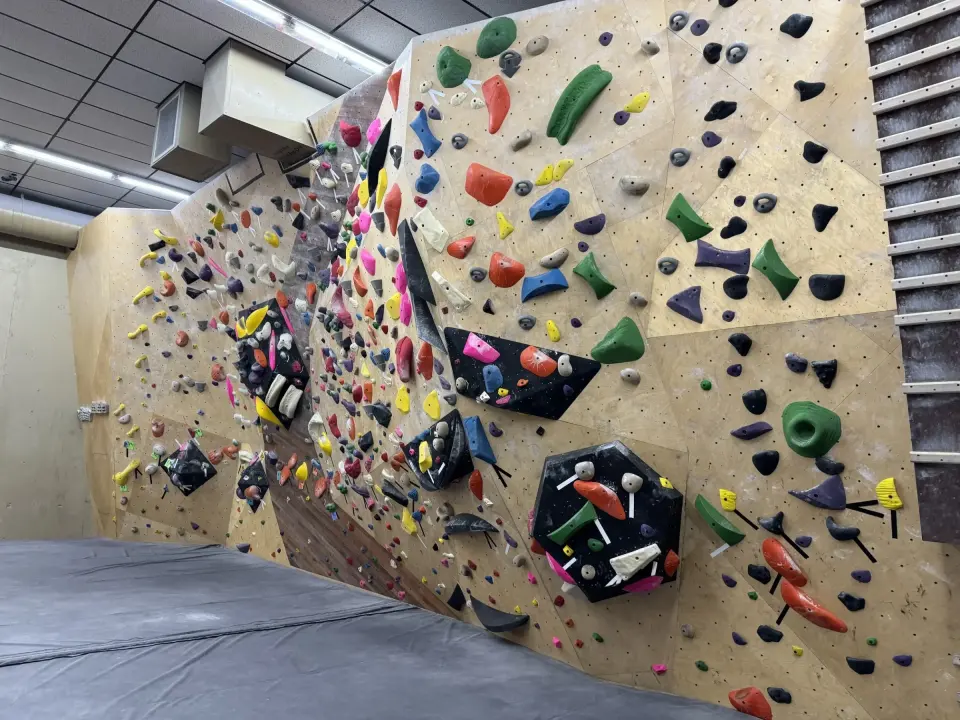 Bouldering wall packed with colourful holds and volumes