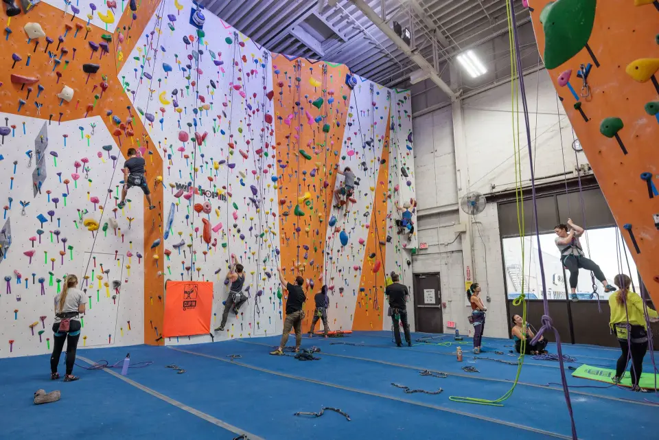 Climbers and belayers below the tall orange and white roped walls