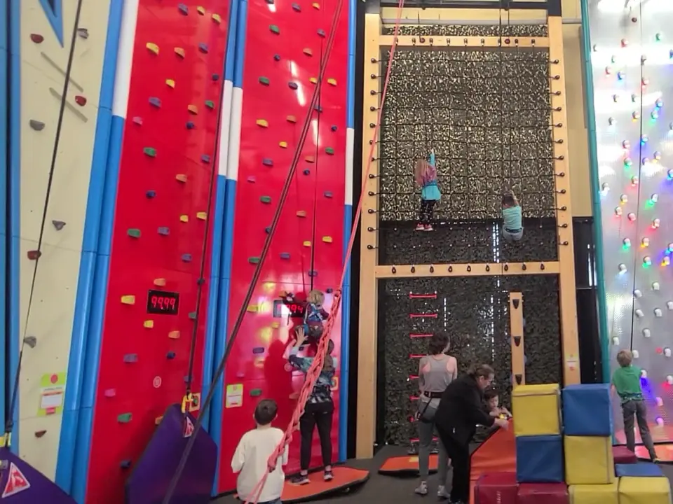 Timed sprint walls, net wall and light-up wall in the main climbing hall