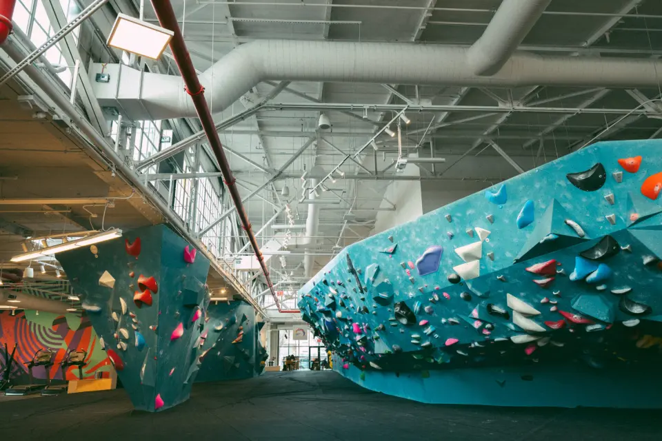 Blue freestanding boulders under the skylit roof of the former garage