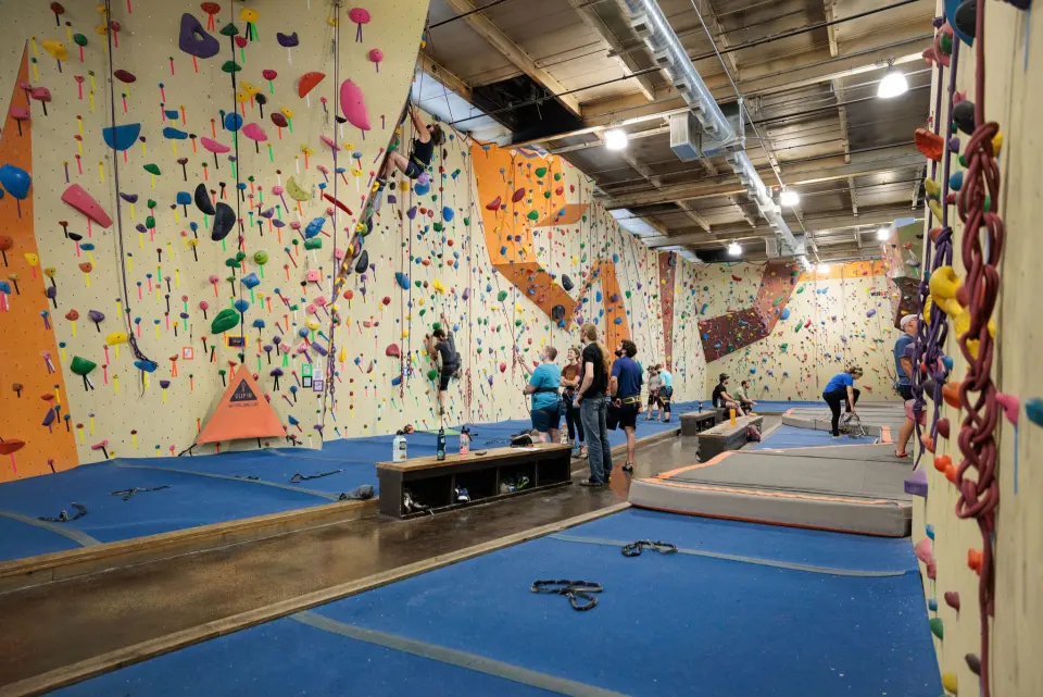 Long hall of roped climbing walls with climbers and belayers
