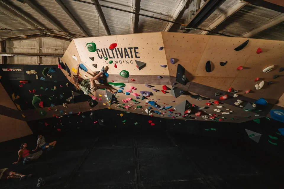 The main bouldering wall at Foundy Street, with the Cultivate logo above colourful holds