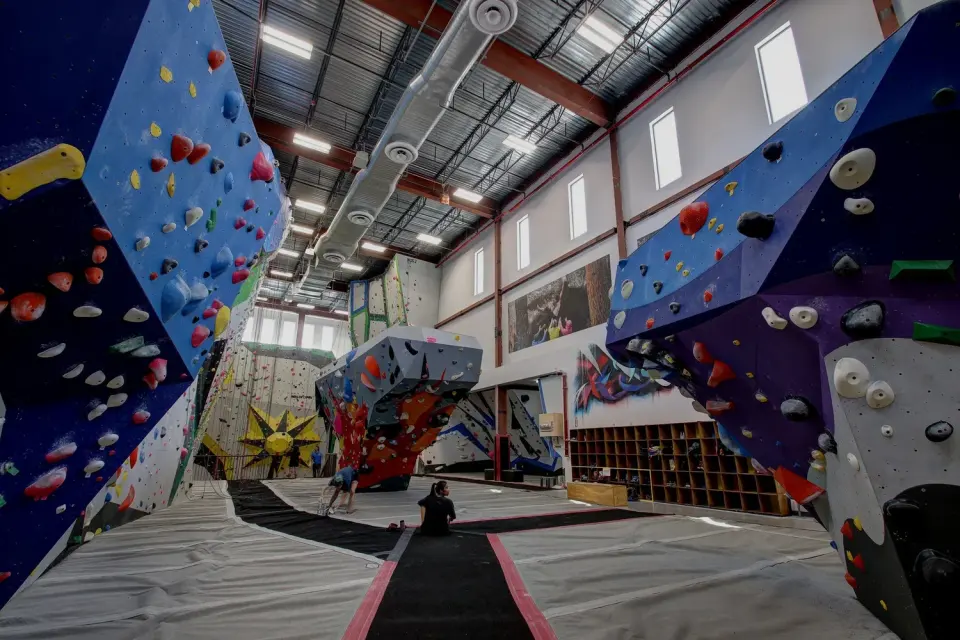Bouldering hall with blue and purple walls under tall windows