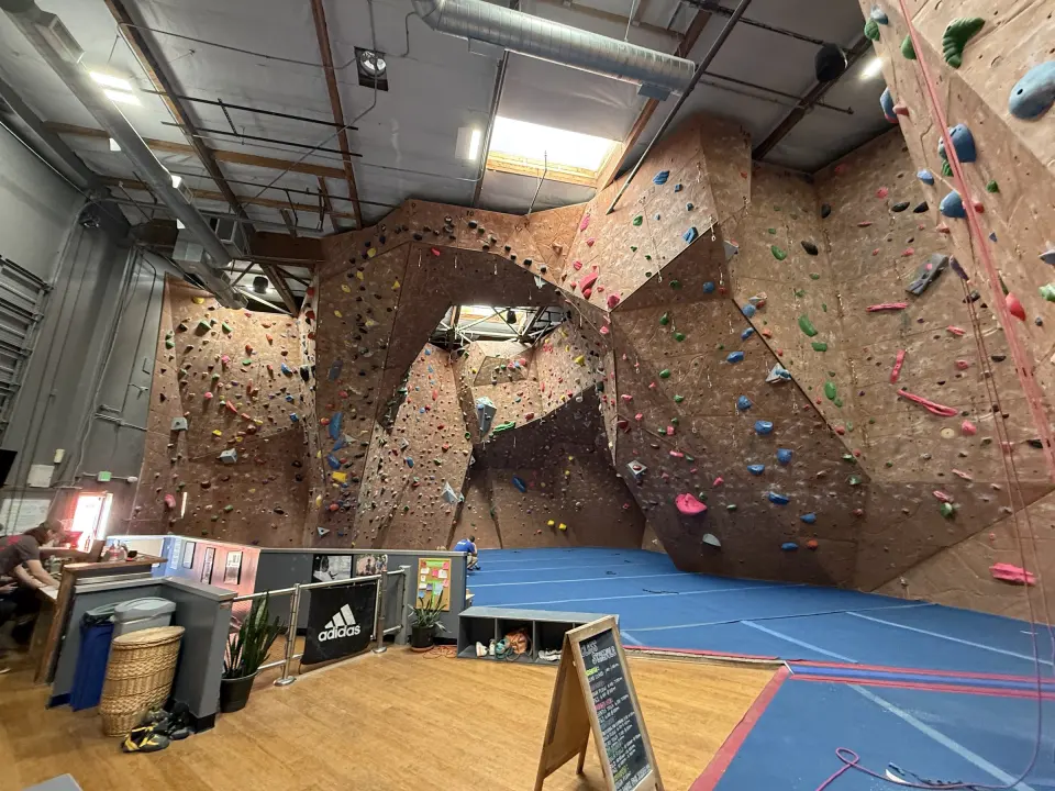 Brown textured roped walls and the lead arch above blue flooring