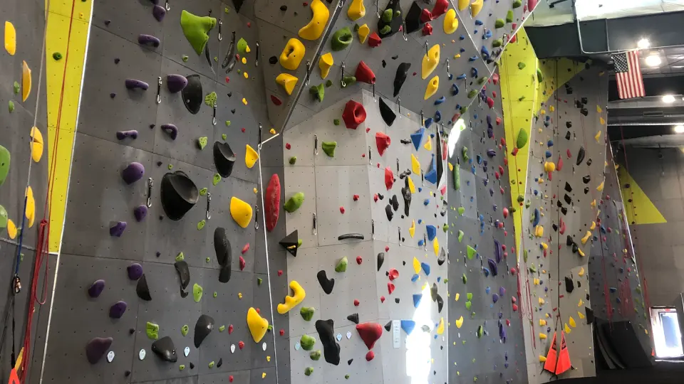 Tall grey and yellow roped walls with routes in every colour