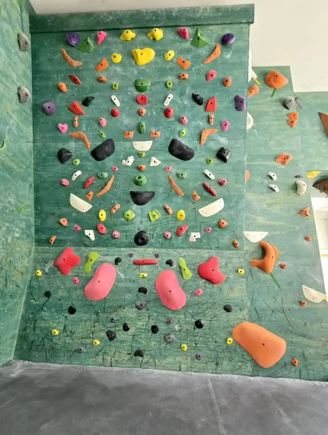 Training wall with rows of holds above the matting
