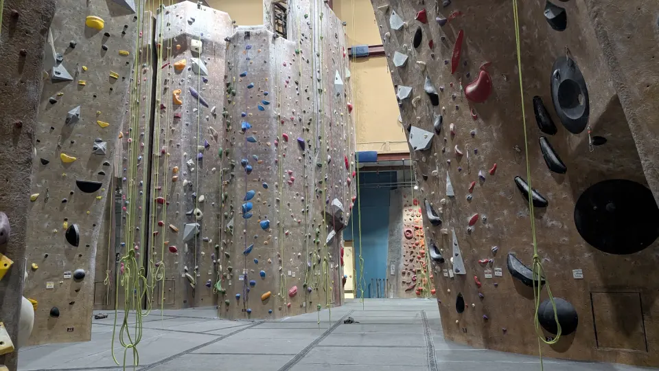 Rows of top-rope lines on the tall walls