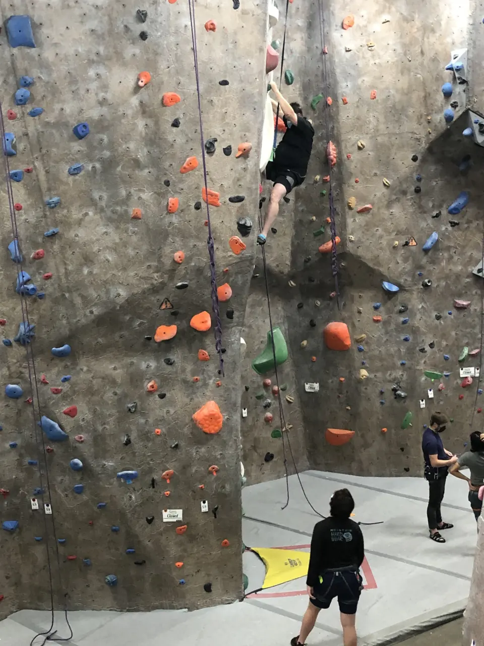 Climbers and belayers below a tall textured wall