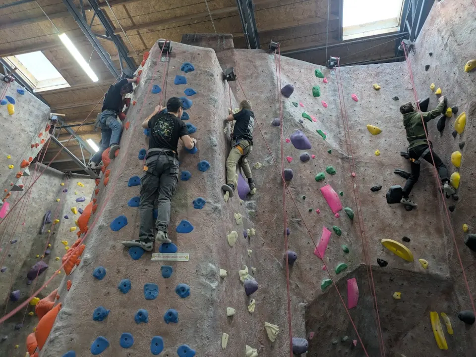 Several climbers on the textured rope walls