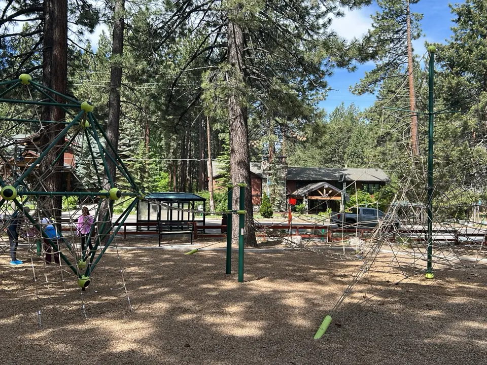 Rope climbing dome and net towers among the pines