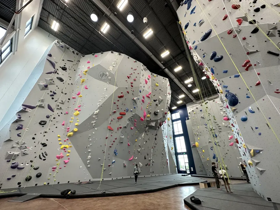 Rows of tall walls under the industrial ceiling