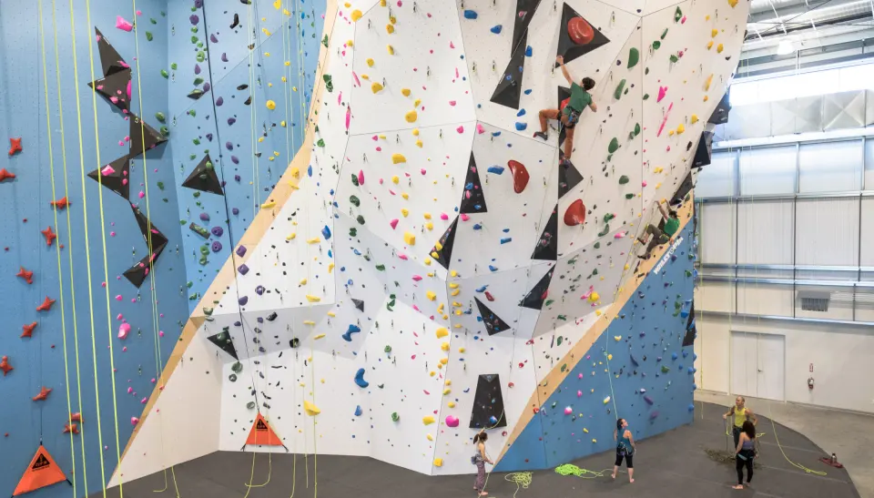 Climbers on the tall roped walls with auto-belays and top-rope lines