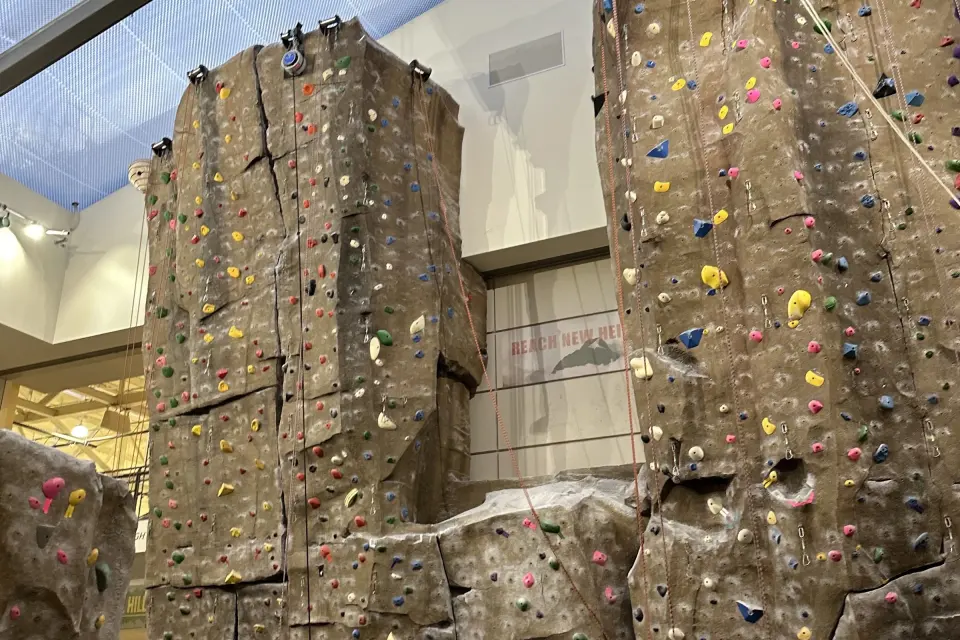 Rock-textured climbing towers with coloured holds under the skylights