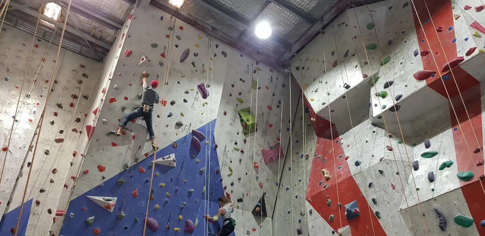 Climbers on the tall roped walls with blue and red panels