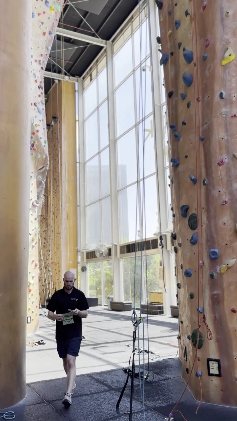 Tall climbing walls either side of the full-height windows