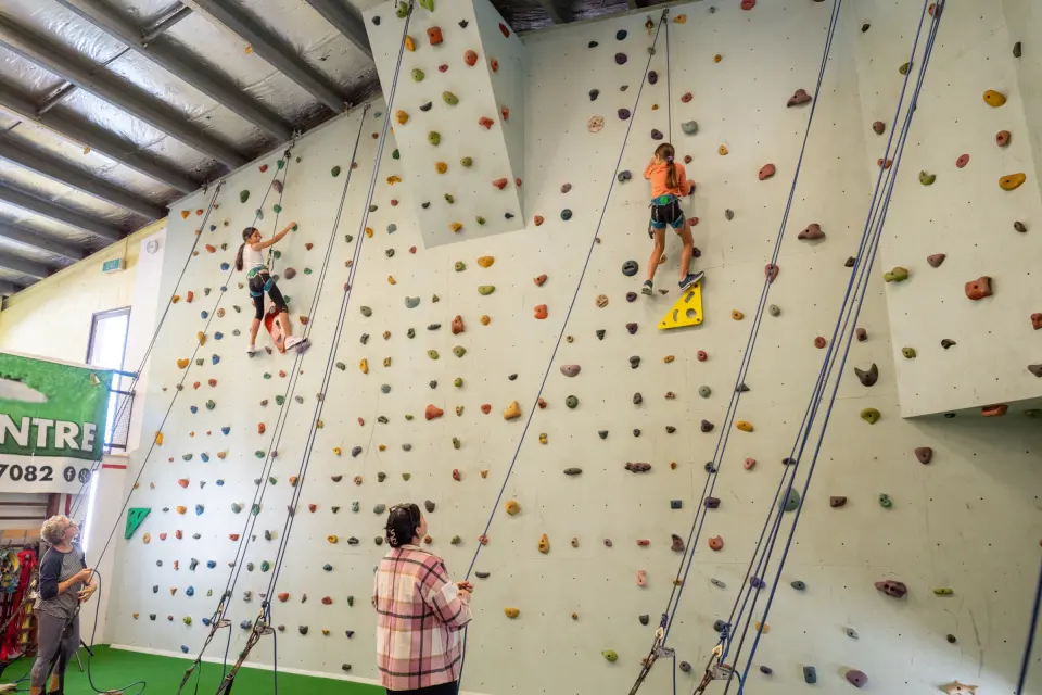 Top-rope climbing wall with ropes, coloured holds and a hanging feature
