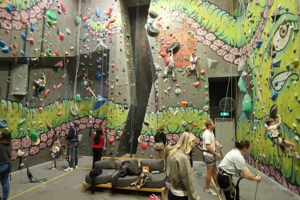 Climbers and belayers on the tall mural-painted roped walls