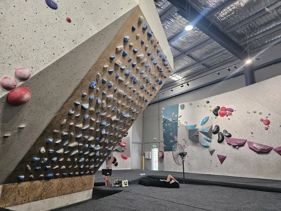 Steep wooden training board with a grid of blue and white holds