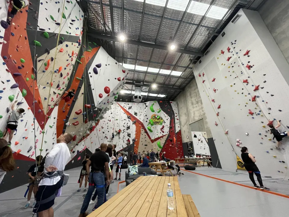 Tall roped walls and the speed wall in the main hall at Urban Jungle