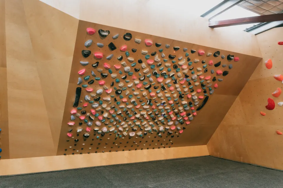 Decoy training board covered in small holds