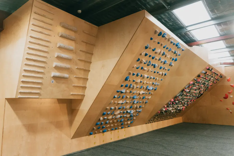 Campus board and MoonBoard on plywood