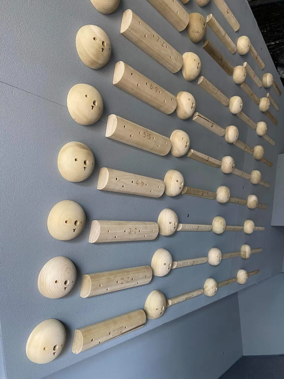 Wooden holds and rungs on the training wall