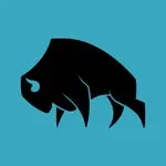 Buffalo Boulders logo: a black buffalo on a teal background