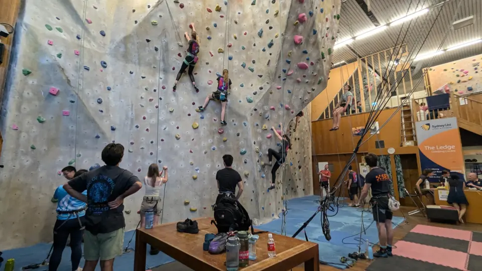 Several climbers on top rope on a tall grey wall with belayers below