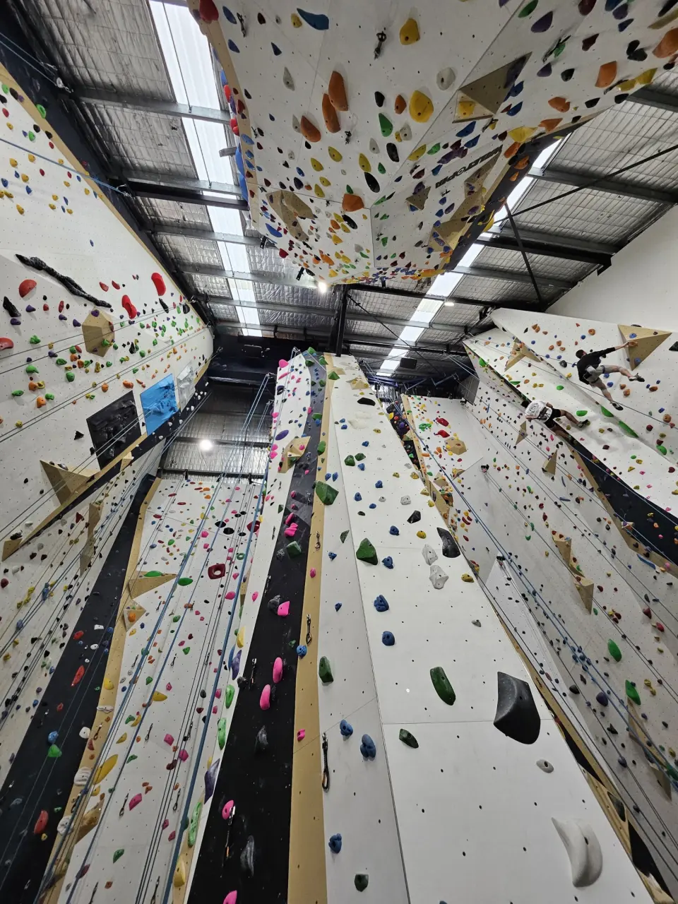 Looking up the overhanging rope walls towards the roof