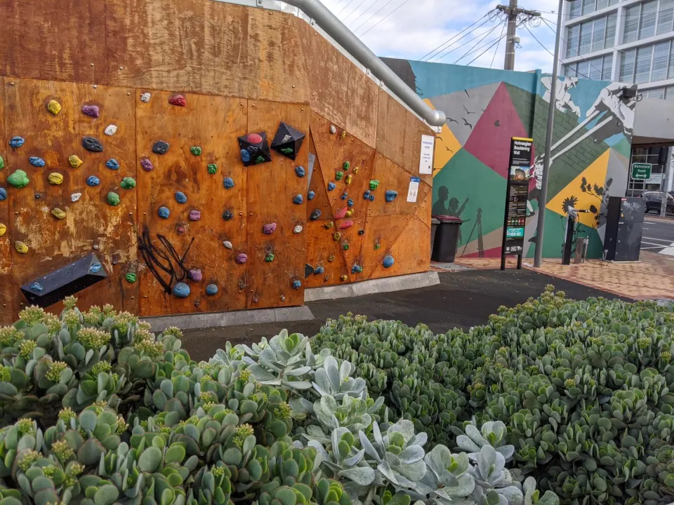 Holds and volumes on the wall, with planting in front and a mural at the far end