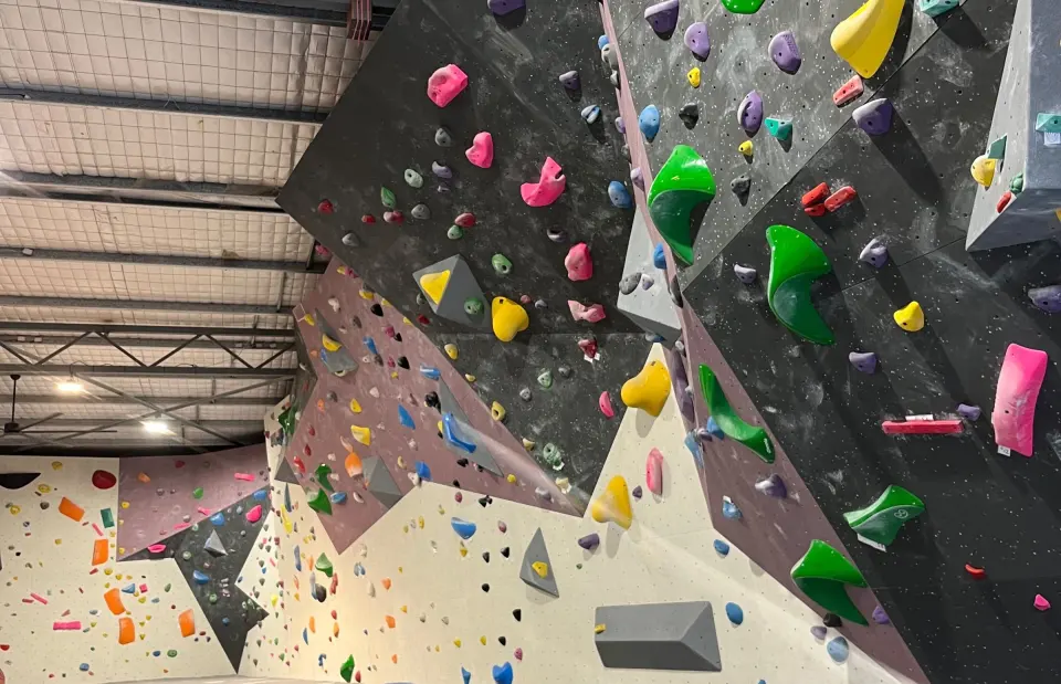 Steep grey and purple bouldering walls with green and yellow holds