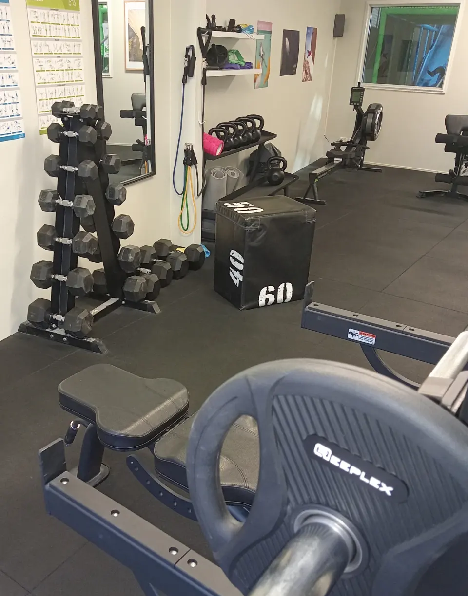 Dumbbell rack, plyo box and bench in the gym