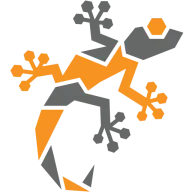Gecko Climb logo, an orange and grey gecko