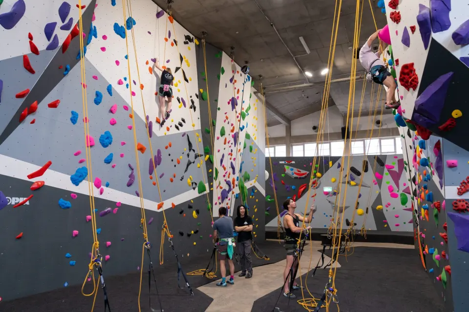 Climbers on the top-rope walls at Climb Fit Macquarie, with ropes hanging over grey matting