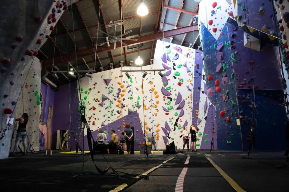 Climbers below the purple and white top-rope and lead walls in Urban Climb West End's rope hall
