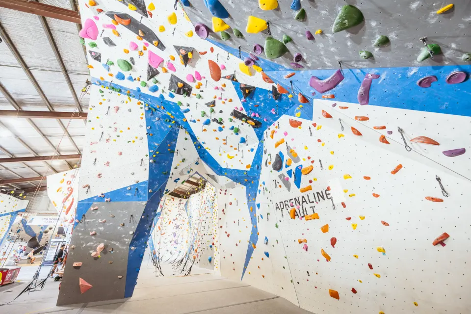 Lead and top-rope walls with blue arêtes at Adrenaline Vault in Belmont, Perth